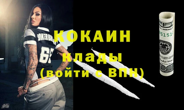 шишки Аркадак