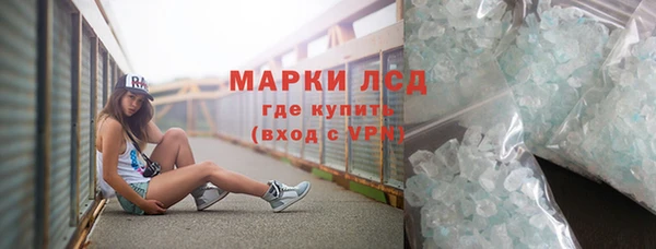 шишки Аркадак