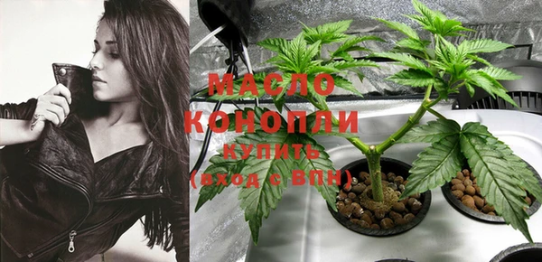 шишки Аркадак