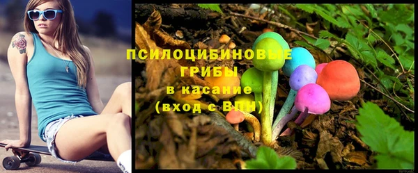 дмт Алексин