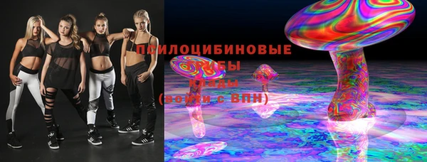 дмт Алексин