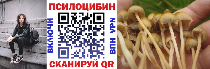 Купить закладки  Норильск  Псилоцибиновые грибы GOLDEN TEACHER 